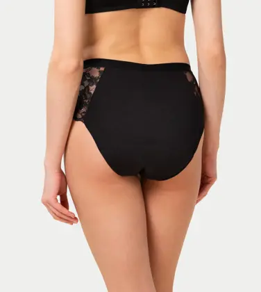 TRIUMPH FREEDOM BRIEFS