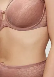 TRIUMPH SIGNATURE SHEER