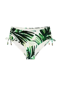 SUMMER PALM