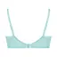 【SALE】チャーミングラマー 脇高 エアリー ブラジャー ダズリングサマー, グリーン, product image number 1