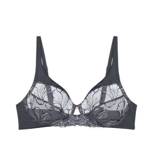 Wild Iris Florale in Anta | Triumph