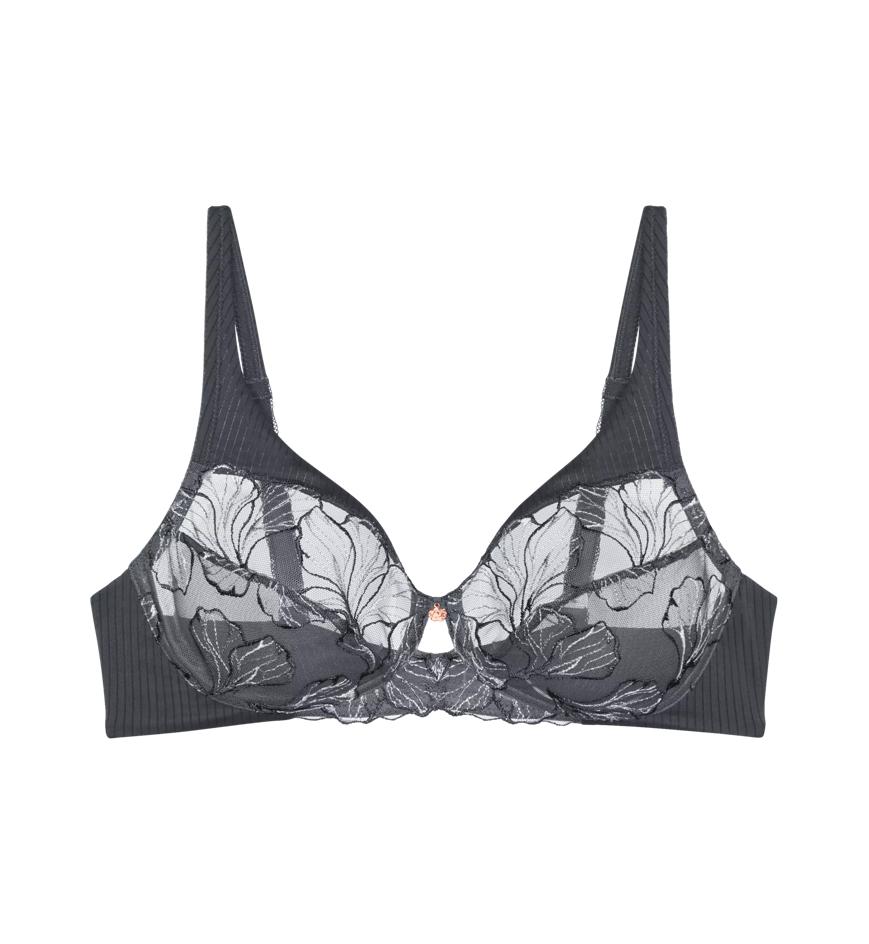 Wild Iris Florale in Anta | Triumph