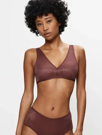 TRIUMPH SIGNATURE SHEER