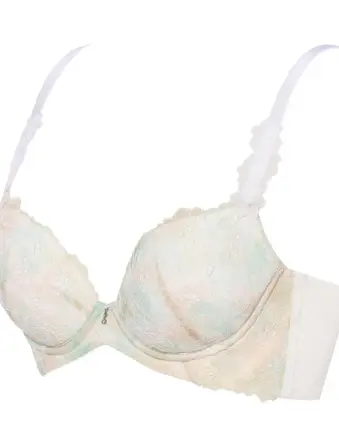 レッドレーベル バイ トリンプ0128 ブラジャー