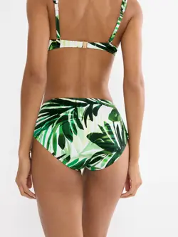 SUMMER PALM
