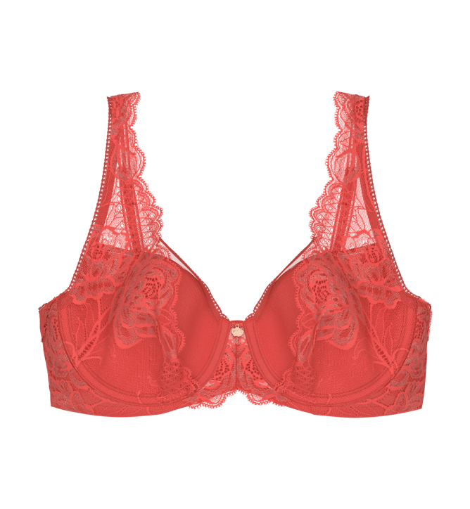 WILD PEONY FLORALE - Minimizer bra 