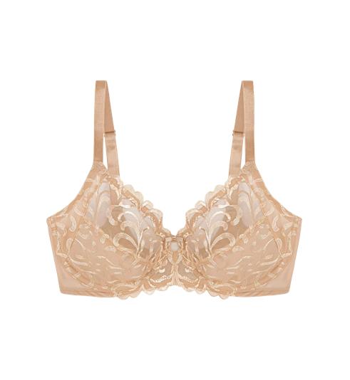 Triumph MODERN FINESSE - Neutral beige - Wired
