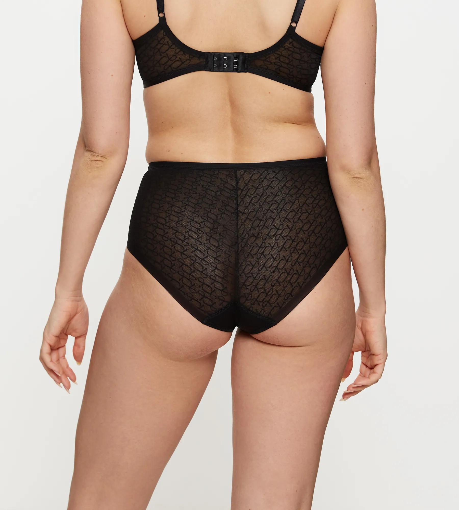 Triumph Signature Sheer Maxi EX Briefs Image 1