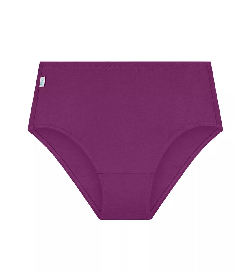 Sloggi SLOGGI HIKINI 2 PACK - Violet dark combination - Full Brief