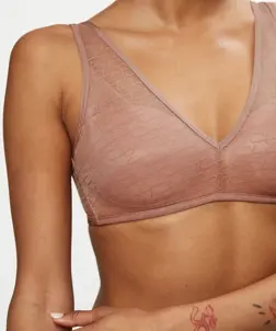 TRIUMPH SIGNATURE SHEER