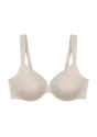 BMU ILLUSION CURVE