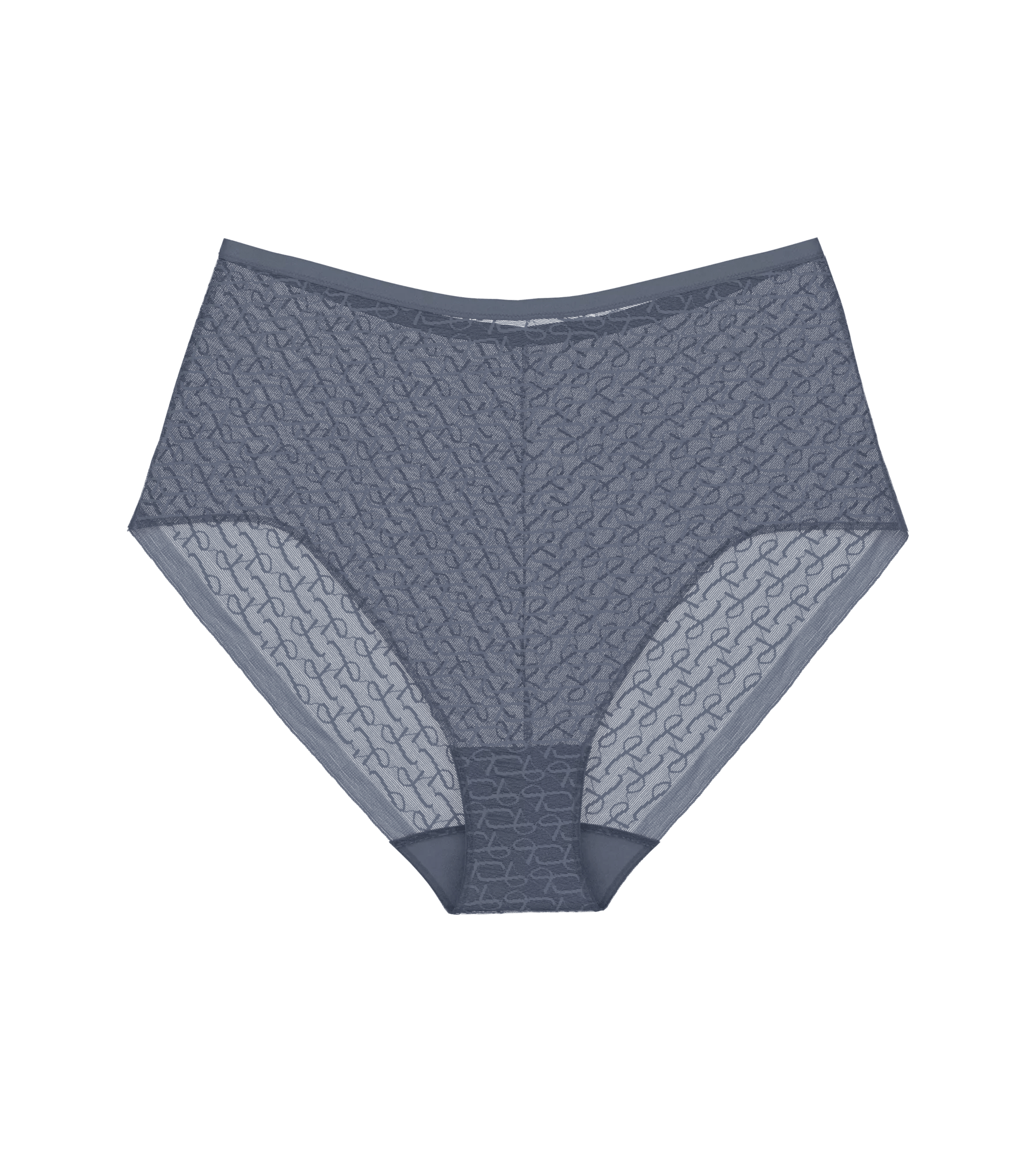 Triumph Signature Sheer Maxi EX Briefs Image 13