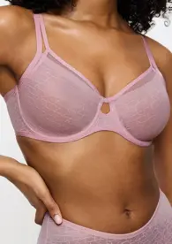 TRIUMPH SIGNATURE SHEER
