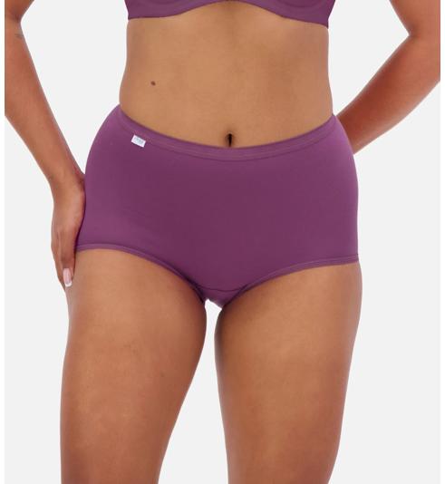 Sloggi SLOGGI MAXI 2 PACK - Violet dark combination - Maxi Brief