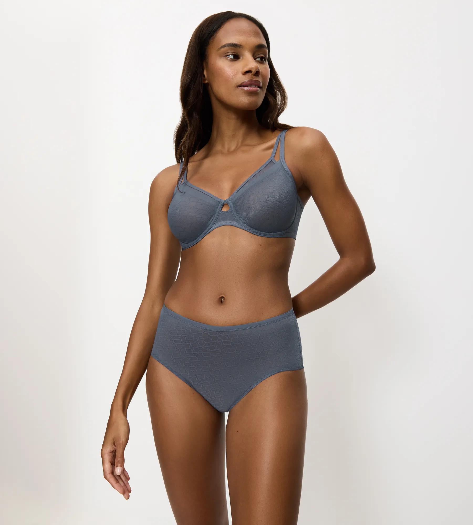 Triumph Signature Sheer Maxi EX Briefs Image 6