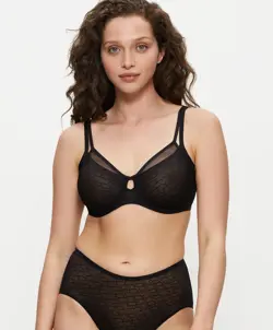 TRIUMPH SIGNATURE SHEER