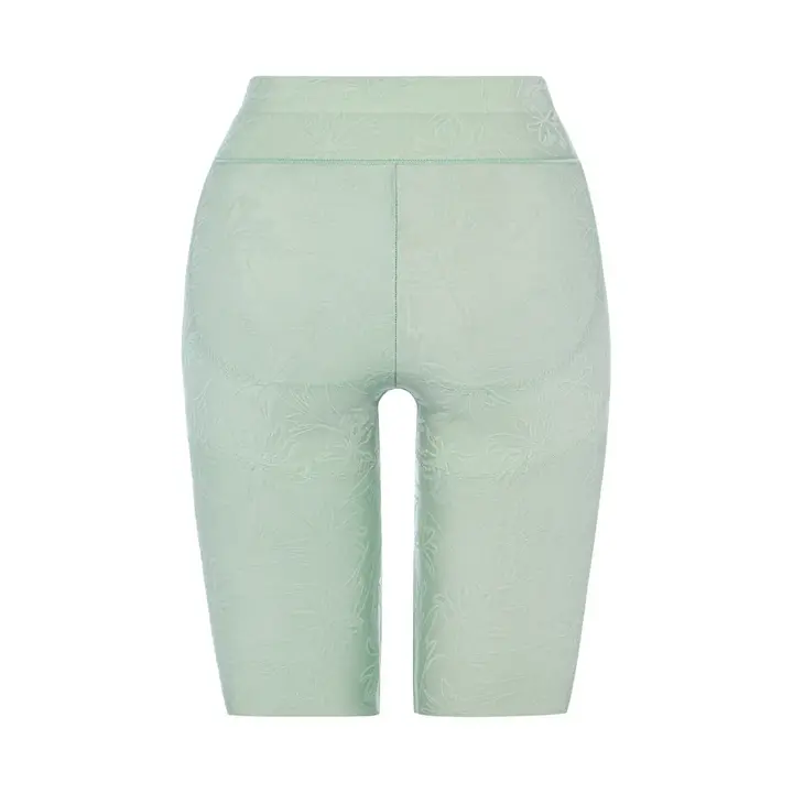 トリンプ プレミアム ゴールドレーベル4006 ロングガードル【一部カラーSALE】, グリーン, product image number 1