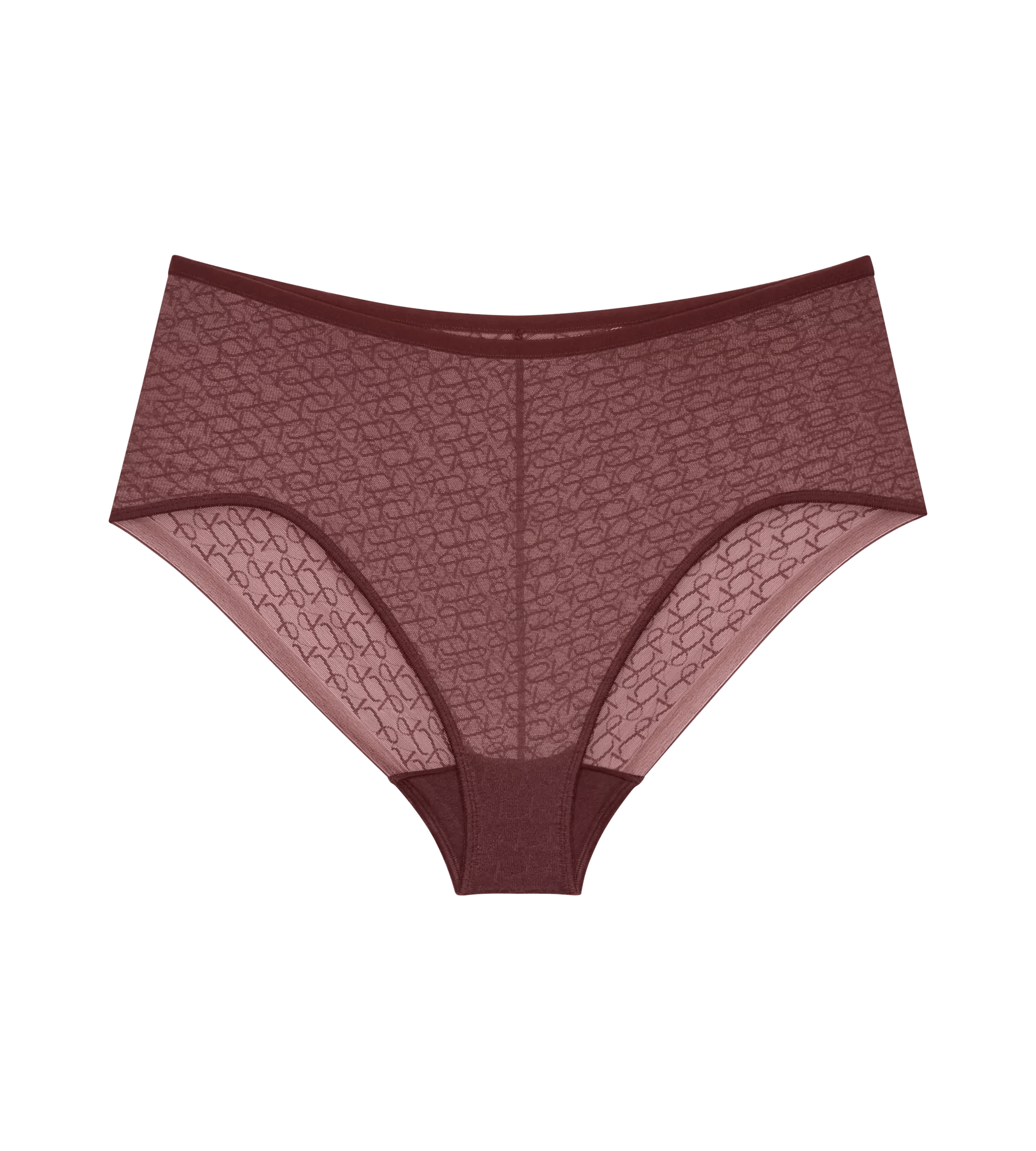 Triumph Signature Sheer Maxi EX Briefs Image 15