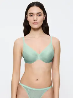 TRIUMPH SIGNATURE SHEER